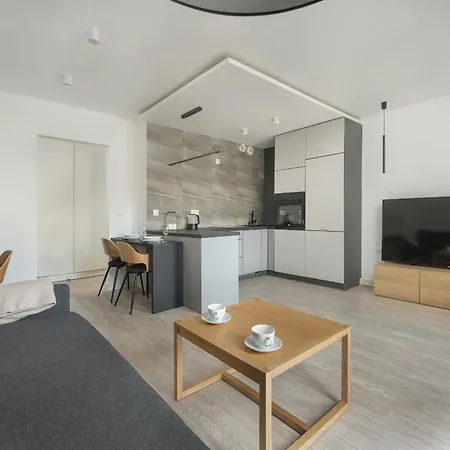 Apartment Cozy Studio In Near Old Town By Renters